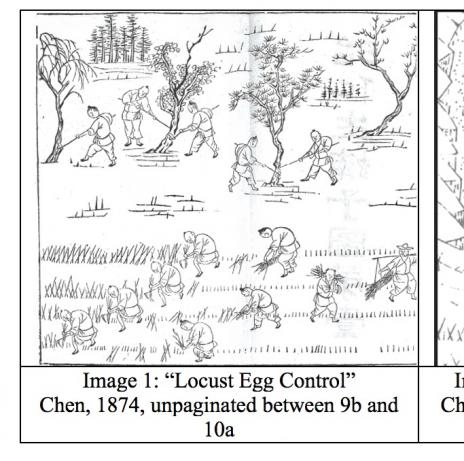 Images from the Manual of Locust Control by Chen Chongdi